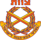 צוות, ארגון גמלאי צה"ל
